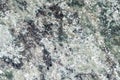 A heterogeneous texture of granite slab. Granitic rock. The coarse-grainedÃÂ plutonic rock structure